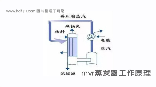 MVR蒸發器的工作原理.jpg